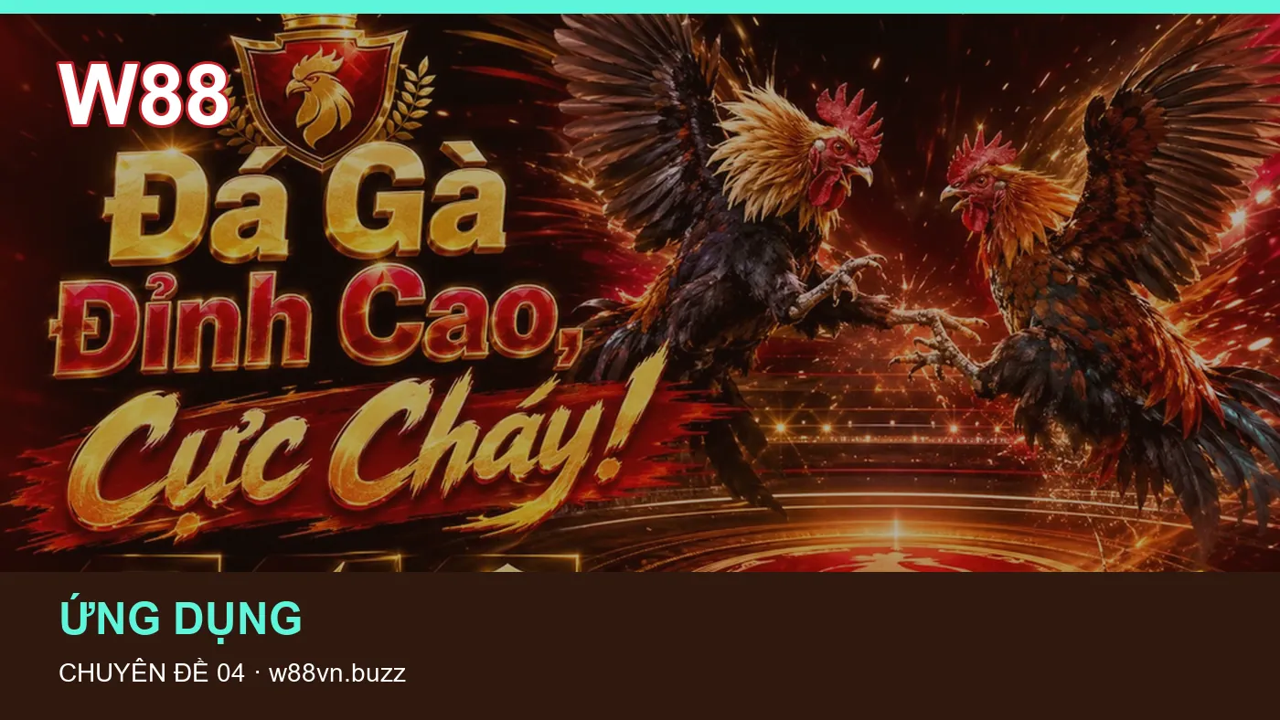Danh sách kiểm tra thông tin Tài khoản dành cho người đọc W88
